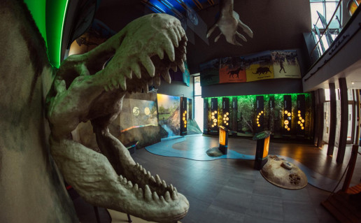 2017-07-12 16-45-46 author Rytis Seskaitis.jpg